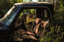 Old Abandoned Pickup Truck Cab With Plants Growing Around