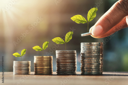 Hand Holding Coins To Stack And Growth Plant Step Concept Saving
