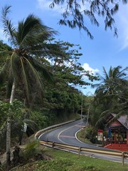 Curved two lines asphalt empty road in along the tropical forest and small wooden house on the sidelines. Vertical panoramic view of modern way through the rainforest. Path for a transport and cars