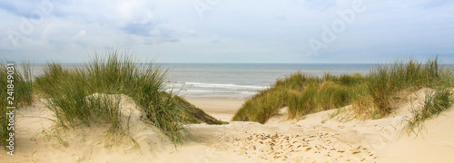 Obraz plaża   na-wydmach