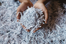 Hand Showing Heap Of Shredded Paper. Concept Of Recycle And Office Work Of Confidential