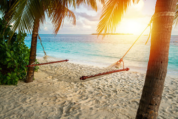 hammock on a palm tree and sunset glare near sea ocean sky shore sand