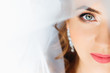 Close-up of the face of the bride's face with make-up and bridal
