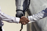 Fototapeta  - handshake in front of a horse