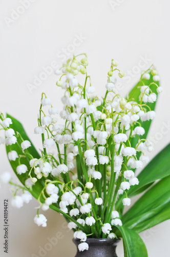 Fotografía lily of the valley isolated on white background