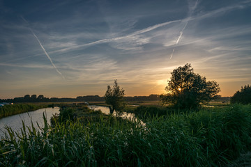 Wall Mural - scenic countryside near gouda, netherlands with it's trees and many canals