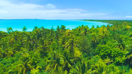 Wall Mural - AERIAL: Flying over the lush tropical vegetation covering the remote island.