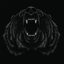  The Vector Logo Bear For T-shirt Design Or Outwear.  Hunting Style Bear Background.