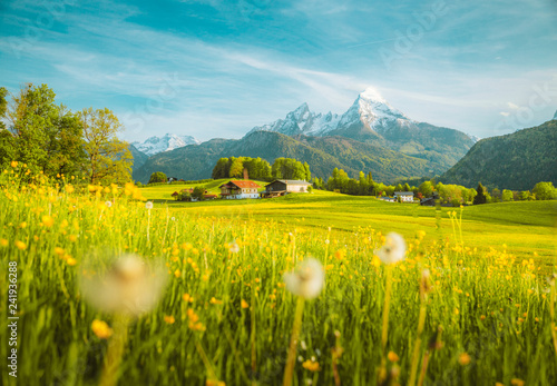 idylliczny-krajobraz-w-alpach-z-kwitnacymi-lakami-na-wiosne