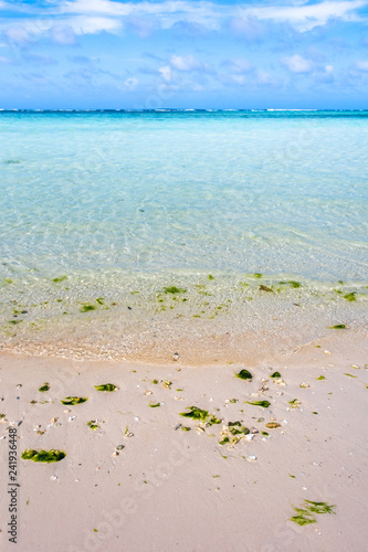 南国の海の風景 縦構図 Stock 写真 Adobe Stock