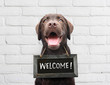 © manonteravest - Happy dog with chalkboard with welcome text says hello welcome we’re open against white brick outdoor wall