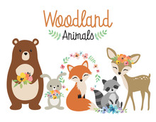 Cute Woodland Forest Animals Vector Illustration Including Bear, Bunny Rabbit, Fox, Raccoon, And Deer.