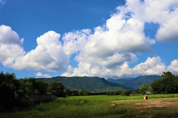 landscape with blue sky and clouds