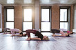 © uv_group - Yoga class. Group of people in fitness studio, meditation in Chatush Padasana pose. Healthy lifestyle and wellness, recreation, sport concept