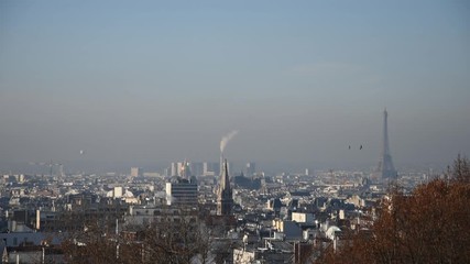Wall Mural - Panoramic view of Paris with Eiffel Tower and roofs