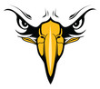 Eagles Face with Eyes and Beak is an illustration of an eagle. It is a close up of the face and would be great used for school mascots in t-shirt designs or other promotional items.