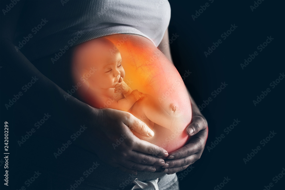 belly of a pregnant woman - obrazy, fototapety, plakaty 