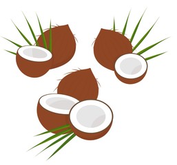 Wall Mural - Coconut with half and leaves. Collection of diferent coconut. Vector illustration on white background