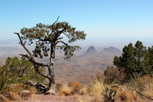 Beautiful View From South Rim In Big Bend Nationalpark