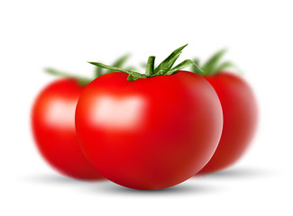 Wall Mural - set of vector red ripe tomatoes lies on a white background