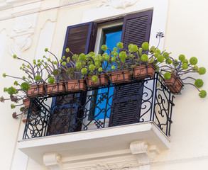 balcony with succulents