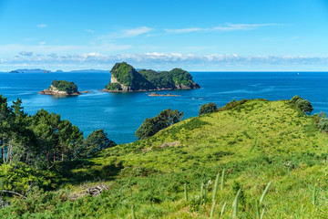 the way from cathedral cove,coromandel peninsula,new zealand 3