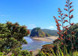 Piha Beach, Lion Rock and pohutukawa tree flowering in December, New Zealand