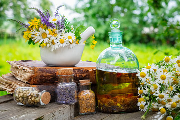 Wall Mural - Mortar of healing herbs, bottles of healthy essential oil or infusion and dry medicinal herbs, old books and bunch of chamomile plant. Herbal medicine.