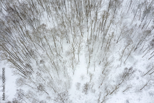Plakat widok z lotu ptaka zimowego lasu. buki pokryte śniegiem po zamieci