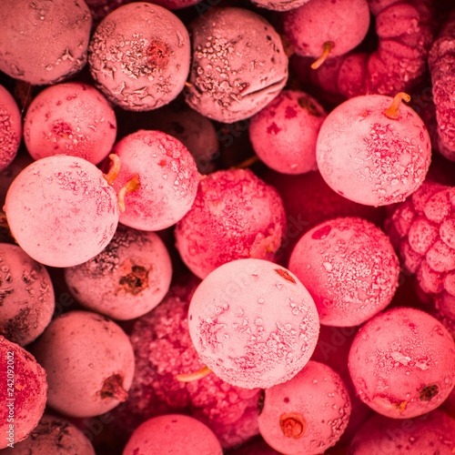 frozen-berries-black-currant-red-currant-raspberry-blueberry-top-view-macro-treatment-inspired-by-pantone-2019-color-of-the-year-living-coral
