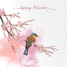 Watercolor Spring Blossom