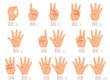 Hands gesture numbers. Human palm and fingers show different numbers vector cartoon illustration. Gesture human hand, gesturing different numbers