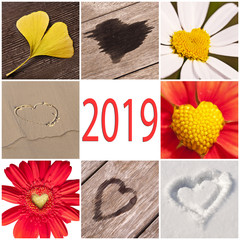 Wall Mural - 2019, collection of hearts related with nature, new year and valentine day concept