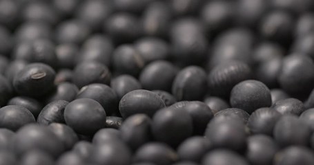 Canvas Print - Black soy bean