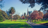 Fototapeta  - Long shot of St Patrick's Cathedral from Fitzroy Gardens
