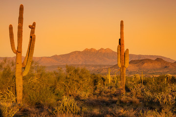 The Arizona desert mountains turn a deep reddish, orange and purple hue as the sun sets and the sky turns a soft peachy orange. Landscape photos of the desert at sunset shows a quiet and solitude 