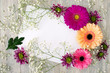 Floral background of gerberas and chrysanthemums. A white sheet of paper, gerberas, chrysanthemums, gypsophila create a background for the text. Flowers in spring and summer.