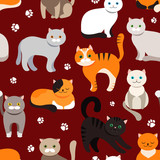 Fototapeta Pokój dzieciecy - Cat background, seamless pattern. Vector flat illustration. Kitty, Pets.