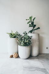 a large clay pot with a green plant