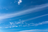 Fototapeta Na sufit - clear blue sky in sunny day