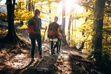 Trekking With Backpacks On Forest Trail, Group Of Tourists