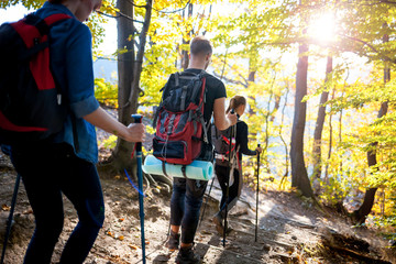 Wall Mural - trekking with backpacks on forest trail, group of tourists