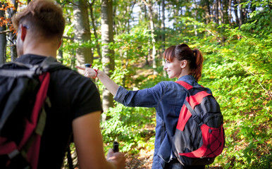 Wall Mural - trekking in the spring forest