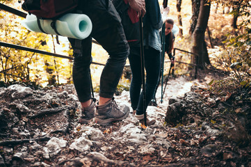 Wall Mural - travelers while trekking with backpacks on rocky forest trail