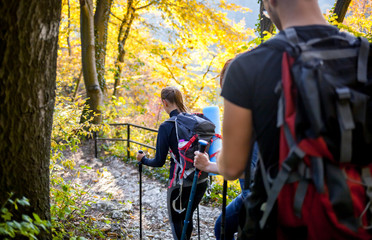 Wall Mural - travelers while trekking with backpacks on forest trail