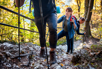 Wall Mural - travelers while trekking with backpacks climbs steep on forest trail
