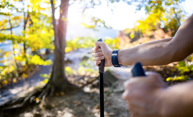 Wall Mural - man on trail holding trekking sticks