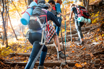 Wall Mural - group of friends with backpacks trekking together and climbing in forest