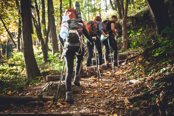 Wall Mural - group of friends with backpacks trekking together and climbing in forest