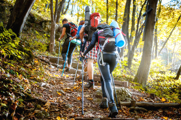 Wall Mural - group of friends with backpacks trekking together and climbing in forest
